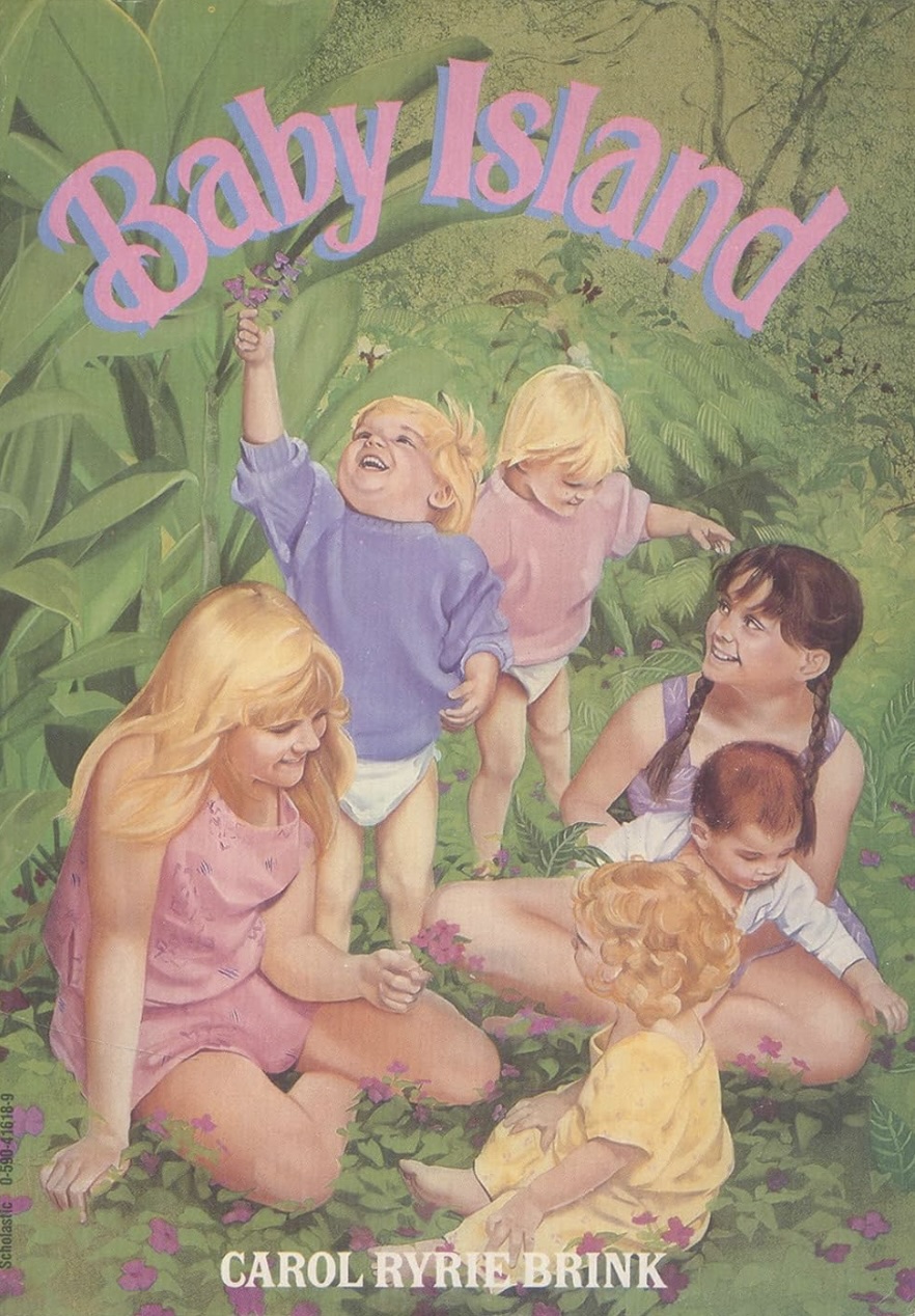 Baby Island book cover